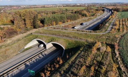Nový zelený most na dálnici D1 slouží přirozené migraci zvěře