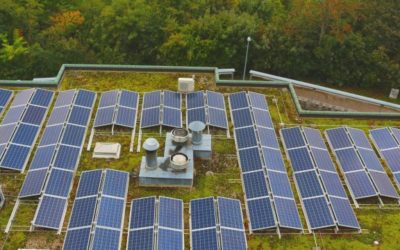 Fotovoltaické panely na zelené střeše? Ekologické a praktické zároveň