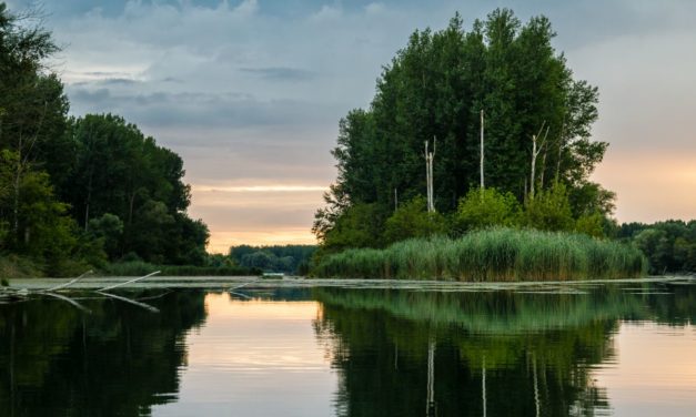 Náš prvý nížinný národný park vznikne na Dunaji, financovaný bude aj vďaka eurofondom